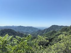 -大岭沟猕猴桃谷风景区