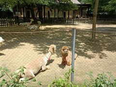 -南昌动物园