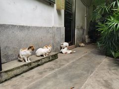 -广州兰圃