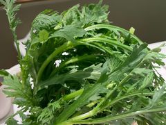 -洪氏嗨捞·广东猪肚鸡·椰子鸡火锅(西咸万象城店)