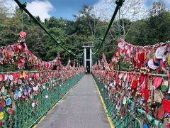 -西双版纳原始森林公园