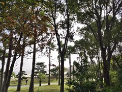 -普陀山风景名胜区-千步大沙