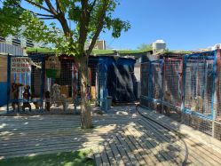 -萌宠亲子动物乐园(槐房万达店)