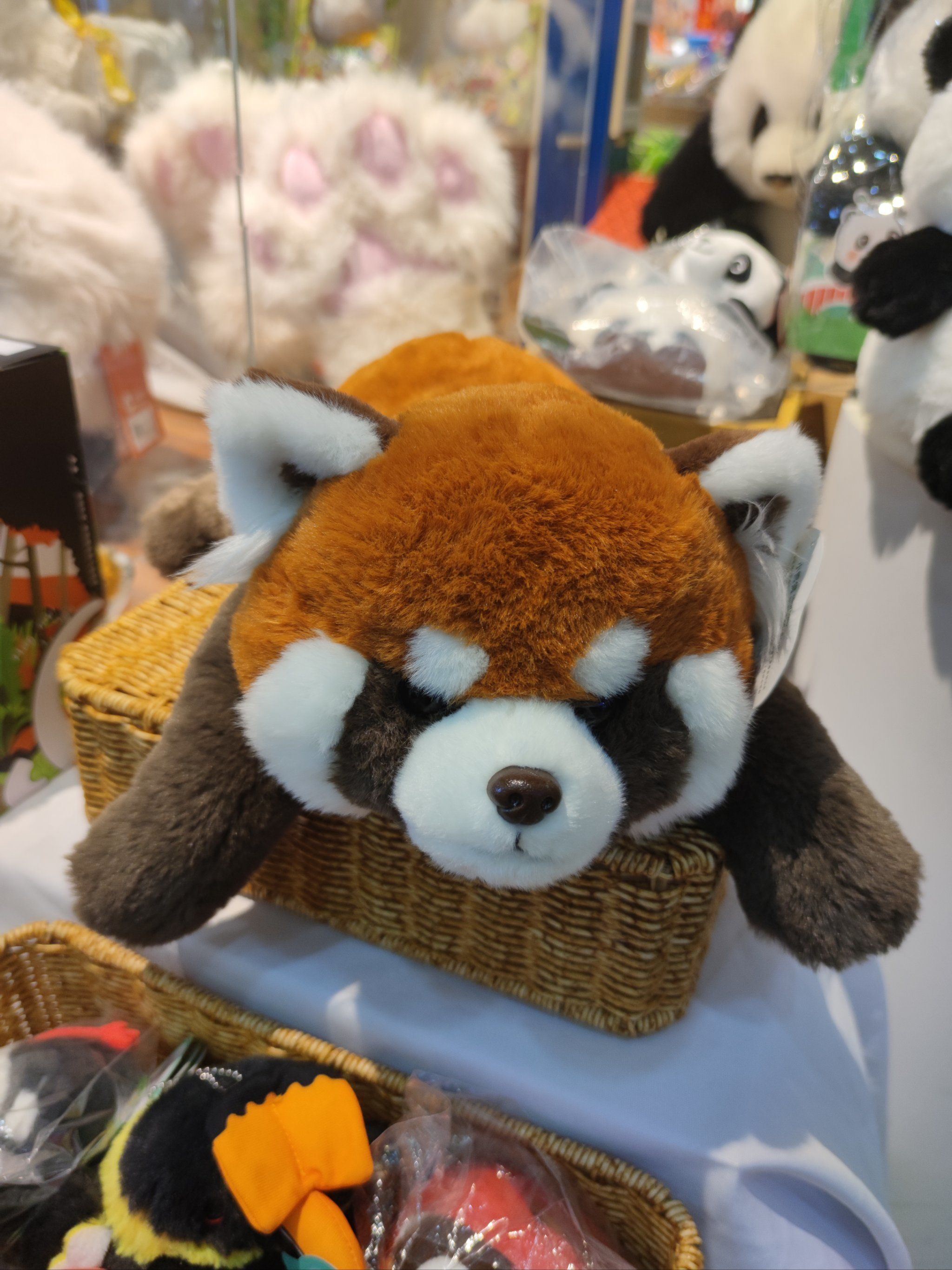 小熊猫玩偶好可爱