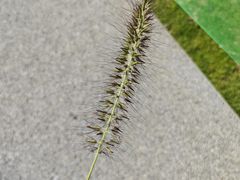 -汉长安城未央宫国家考古遗址公园