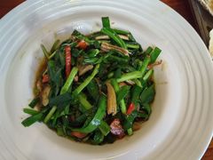 -朝日屋(高新店)