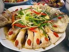 -田螺阿姨自营月嫂·育儿嫂(高新店)