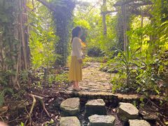 -广西壮族自治区药用植物园