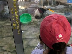 -苏州太湖国家湿地公园