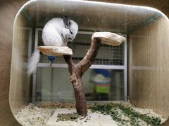 -藦茜花园宠物主题亲子互动体验馆(国顺东路店)
