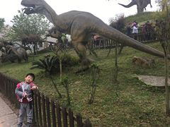 -自贡恐龙博物馆