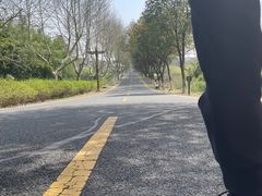 -宜兴龙背山森林公园
