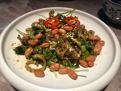 顺德爽鱼皮-香港食盈碗仔翅(清远总店)