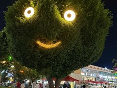 -特克斯八卦城