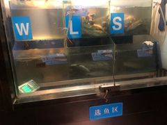 水产区-鱼酷活鱼烤鱼(沈阳大悦城店)