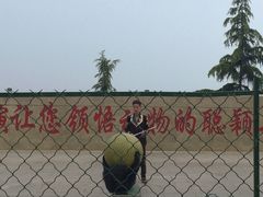 -东方熊牧场