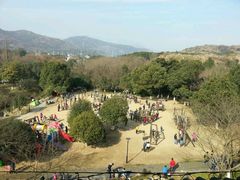 -白马涧龙池景区