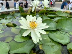 -三亚南山文化旅游区