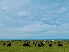 -青海湖国家重点风景名胜区