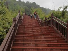 -铁山坪森林公园