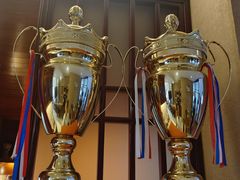 -天猫养车贴膜轻改·蓝电(优匹康桥东路店)