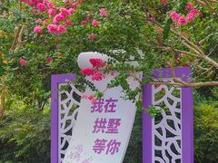 -杭州城北体育公园