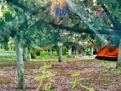 -长白岛森林公园