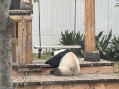 -无锡动物园·太湖欢乐园