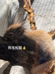 -Zoolung Zoolung动物主题公园(海信广场店)
