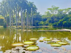-中国科学院西双版纳热带植物园