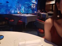 -迪拜帆船酒店海底餐厅