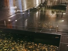 -晶采轩(虹桥路店)