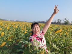 -映月湖中央公园