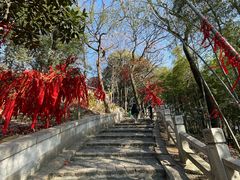 -灵岩山风景区