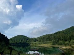 -武陵山森林公园