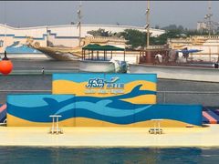 -秦皇岛乐岛海洋王国