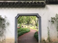 -瀛洲公园