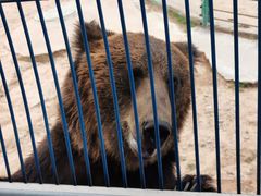 -鄂尔多斯野生动物园
