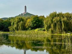 -北坞公园