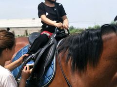 骑马要有严肃-月河湾马术俱乐部(朝阳店)