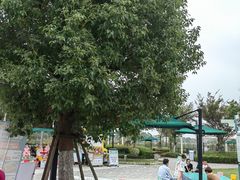 -季高兔窝窝亲子园(上海薰衣草公园店)