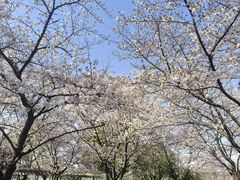 -玄武湖景区-情侣园游乐场