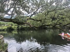 -上坦村