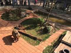 -昆明动物园