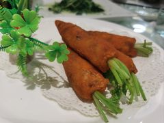 -丁老爷子苏香圆