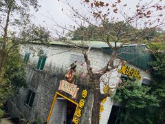 -深圳东部华侨城瀑布酒店