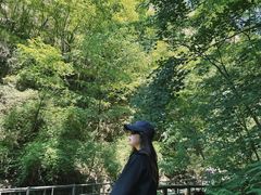 -九龙潭景区