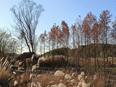 -良渚古城遗址公园