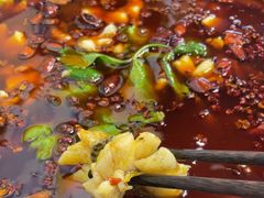 -重庆乌鱼庄·龙滋鲜(青羊大道店)