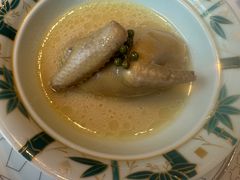 -子福慧(虹桥店)